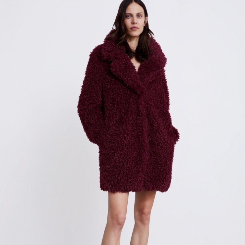 🎉HOST PICK🎉ZARA Soft Fur Coat - Picture 4 of 9